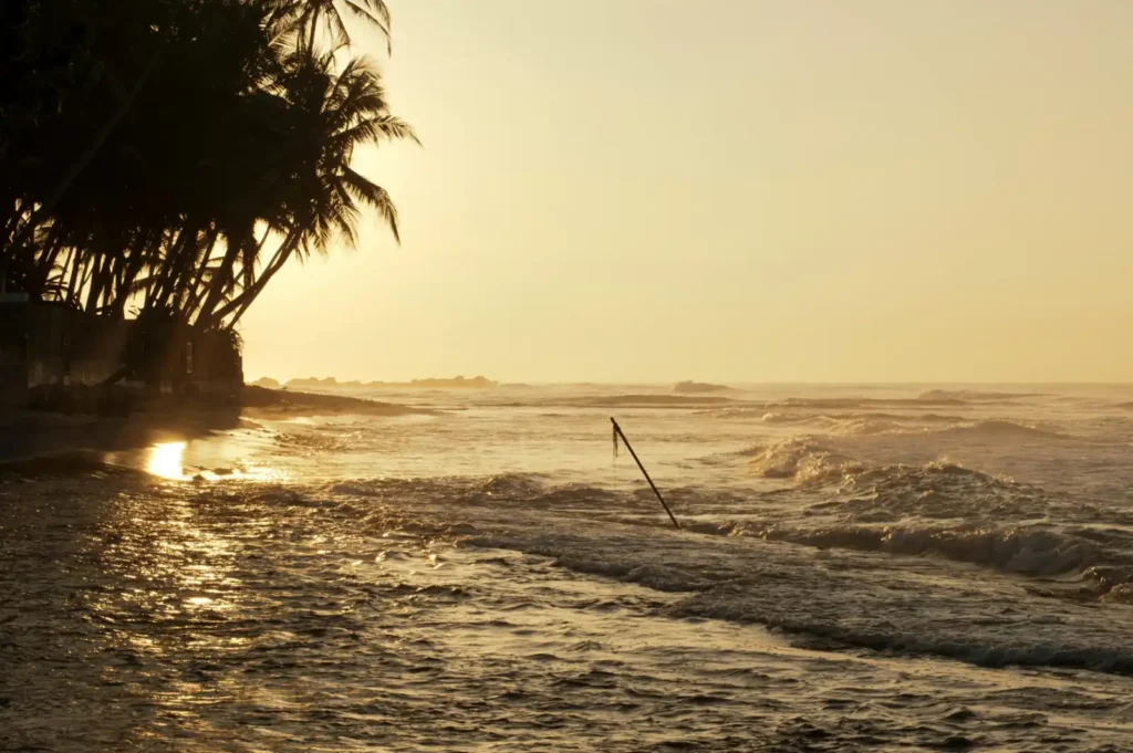 Golden sunset over Hiriketiya Beach with palm trees and waves during dry season