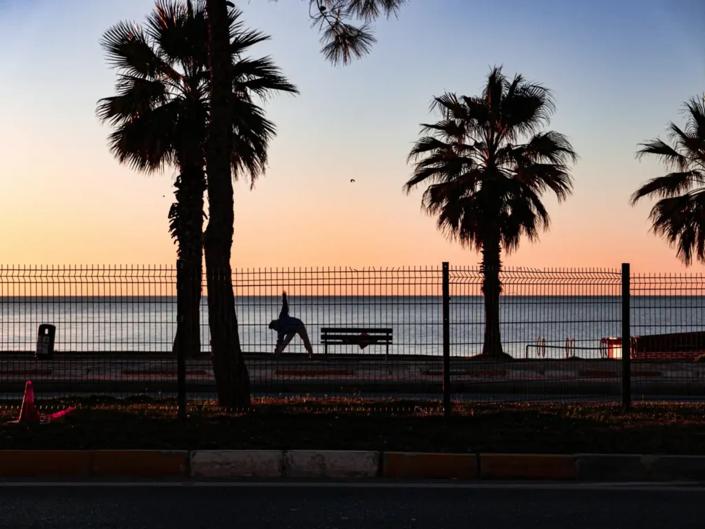 Palm trees and ocean view at sunset near Hiriketiya Beach perfect for relaxing walks
