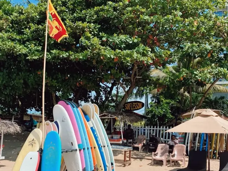Surf school setup with boards and seating area on a tropical beach
