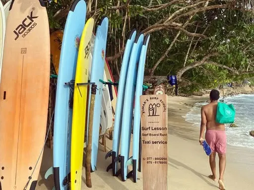 Colorful surfboards lined up for rent on a tropical beach with trees