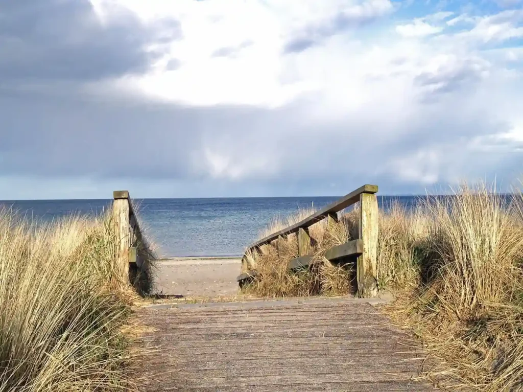 Discovering the Hidden Access Trail