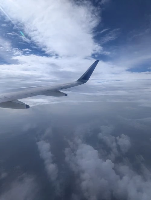 Book recommended cheap flights