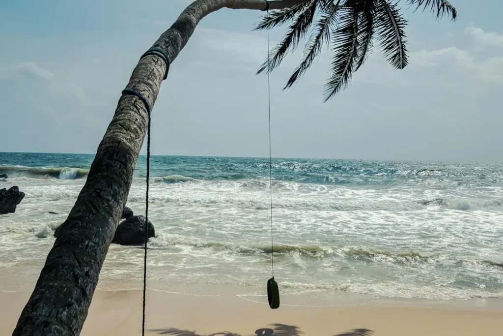 Kudawella Beach near Hiriketiya with palm tree swing, sandy shore, and ocean waves in Sri Lanka