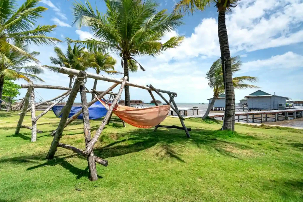Tropical hammocks under palm trees beside a calm Bali beach.