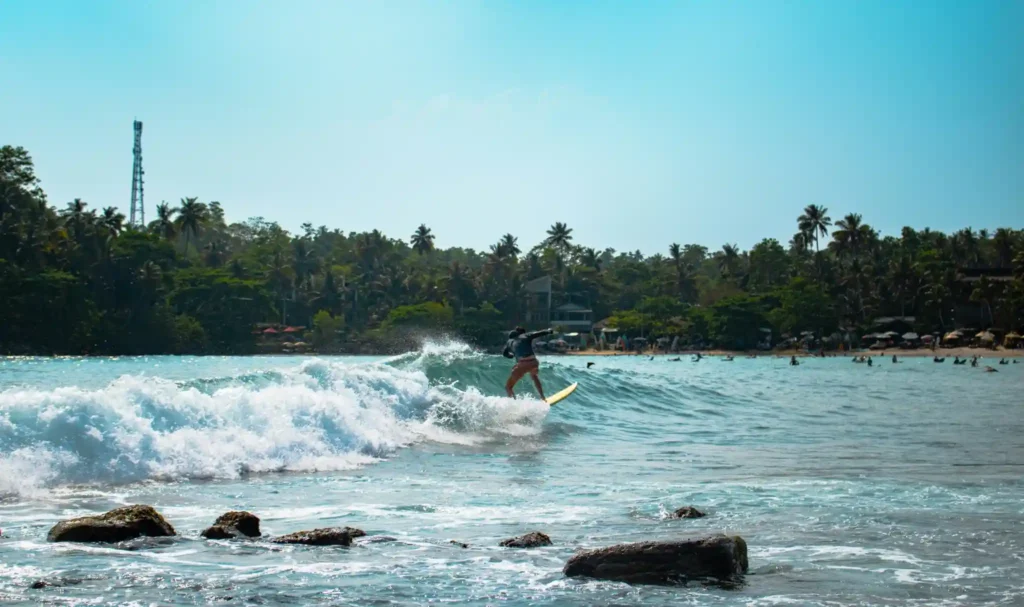 Hiriketiya beach aerial view with palm trees and curved bay Sri Lanka
