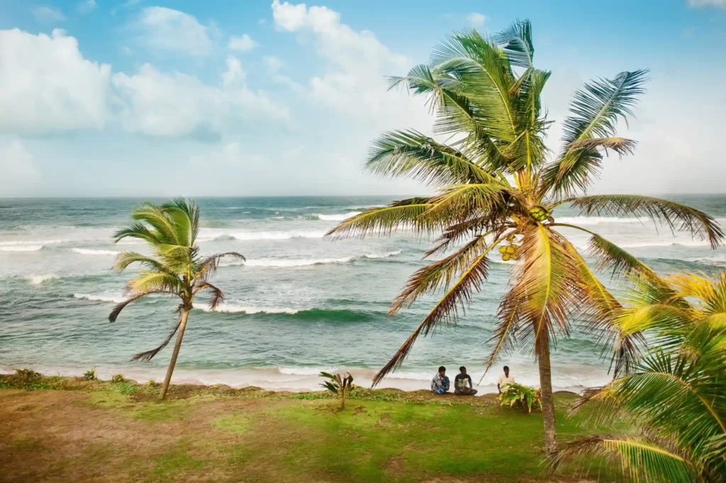 Sri Lanka south coast beaches aerial Mirissa Hiriketiya coastline