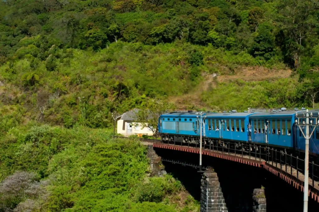 Blue coastal train crossing bridge through lush jungle in Sri Lanka