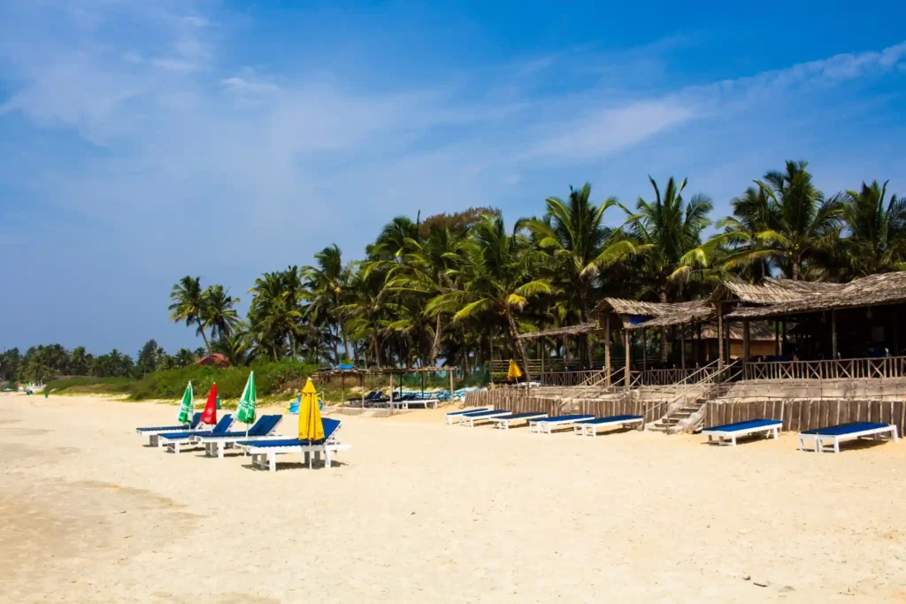 Beach huts and sun loungers lined along the sandy shoreline of Agonda Beach in South Goa surrounded by tall coconut palms.