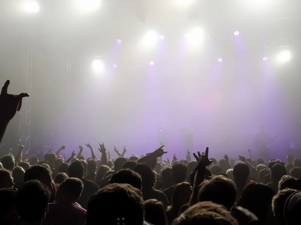 Crowd enjoying a lively nightlife concert atmosphere near Goa beaches.