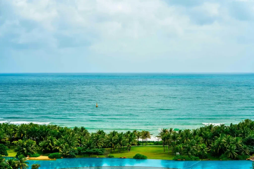 Panoramic ocean view near Agonda Beach with lush palm trees, tropical coastline, and an infinity pool overlooking the Arabian Sea in Goa