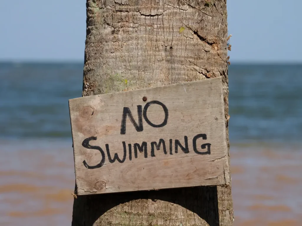 Wooden “No Swimming” warning sign attached to a palm tree near the beach in Con Dao, Vietnam