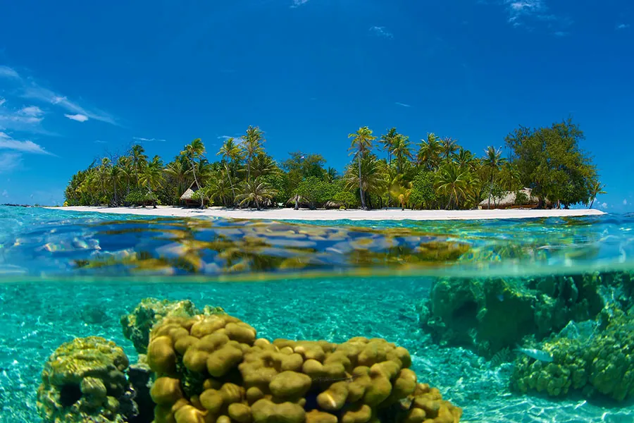 Exotic Island beach in Port Barton with crystal-clear turquoise water, vibrant coral reef, white sand shoreline, and tropical palm trees above the ocean surface.