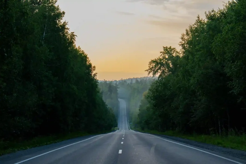 Scenic forest road near Gisoom Beach in northern Iran surrounded by dense Hyrcanian trees during sunset
