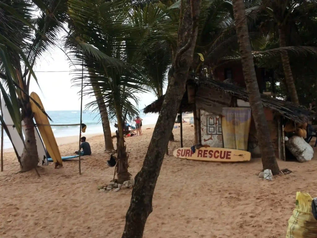 Surfers resting under palm trees near surf rescue sign at Hiriketiya Beach Sri Lanka