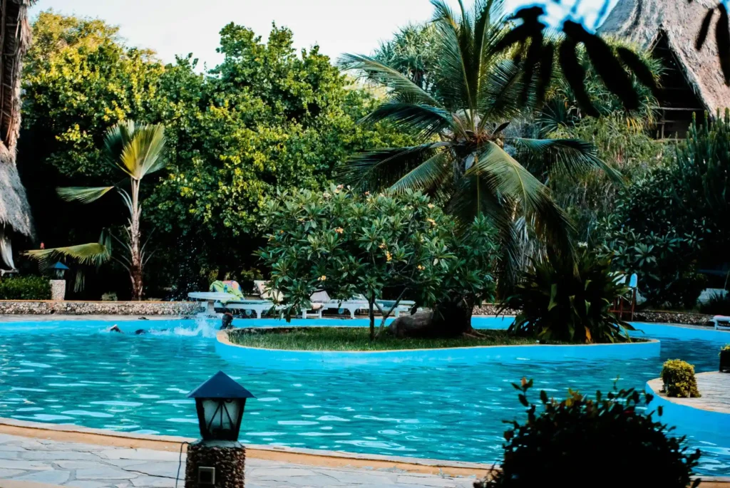 tropical hotel swimming pool surrounded by palm trees