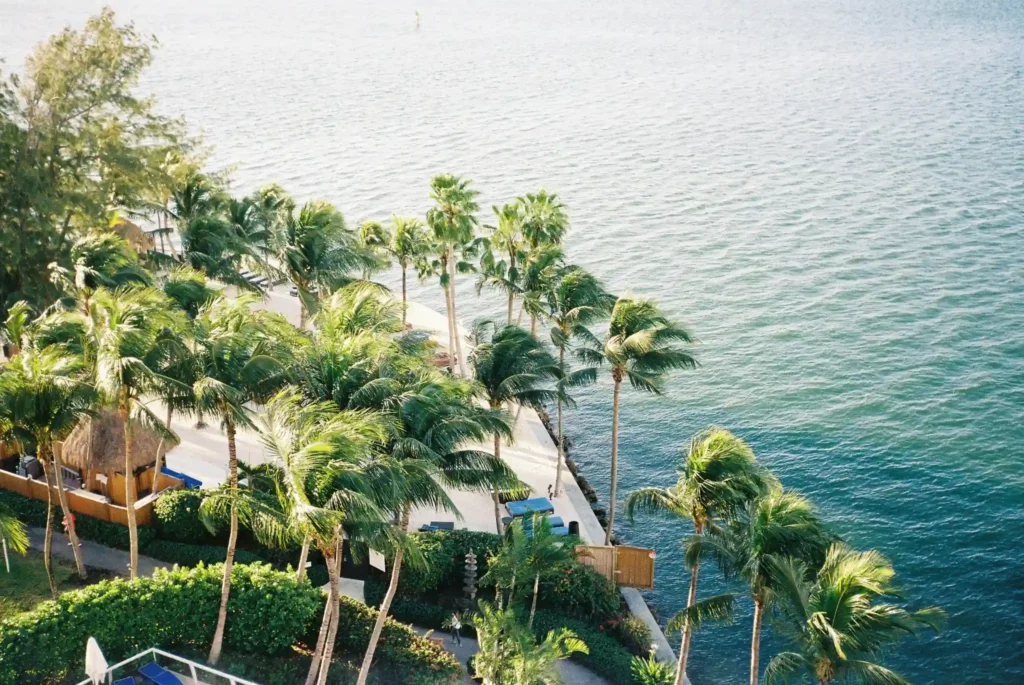 hiriketiya beach coastline with palm trees and ocean view