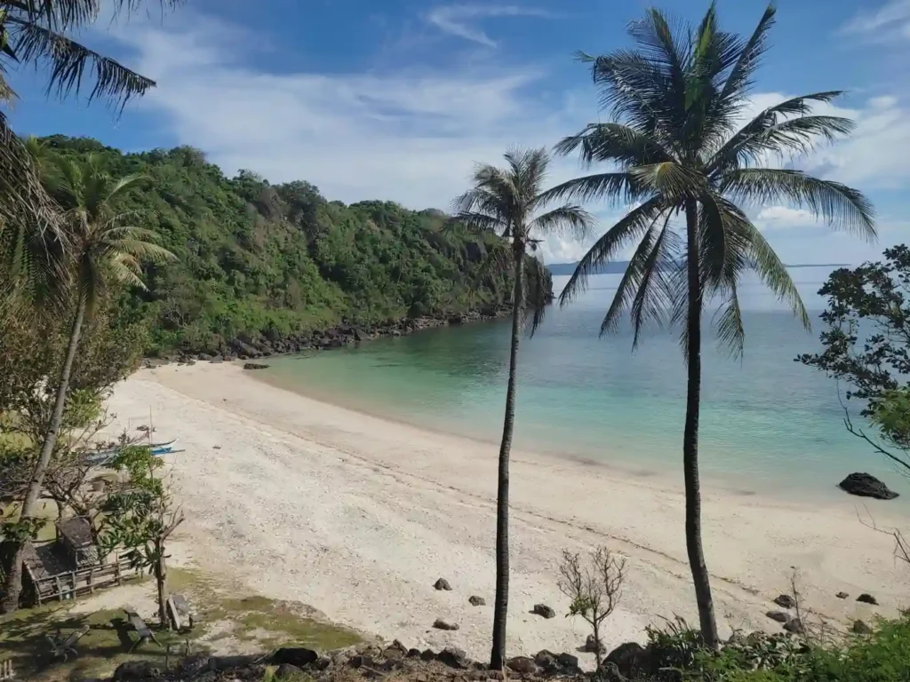 Pamuayan Beach in the Philippines with white sand, calm turquoise water, tropical palm trees, and a secluded cove surrounded by lush green hills.