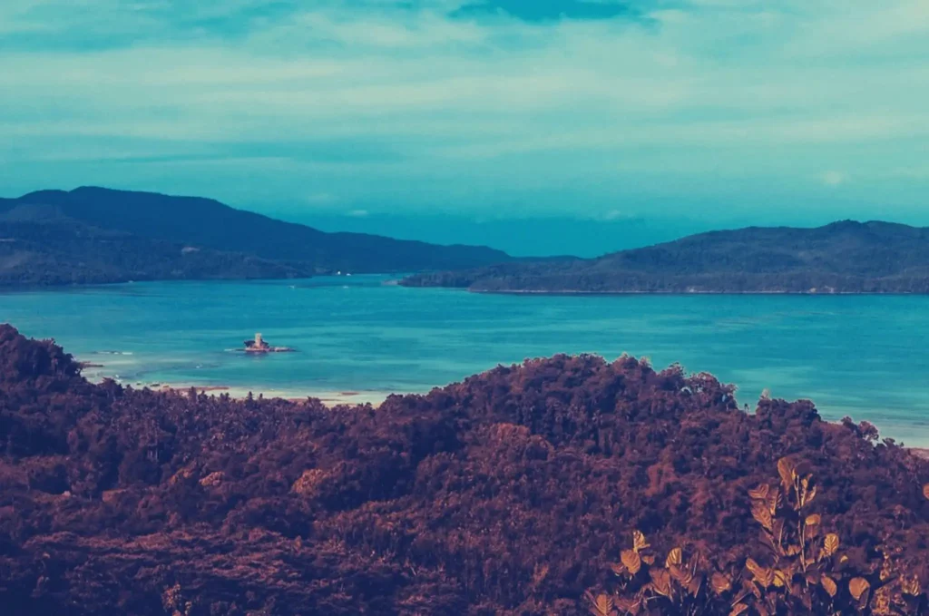 Panoramic coastal view near Port Barton in Palawan featuring turquoise water, forest-covered hills, and quiet tropical shoreline scenery.