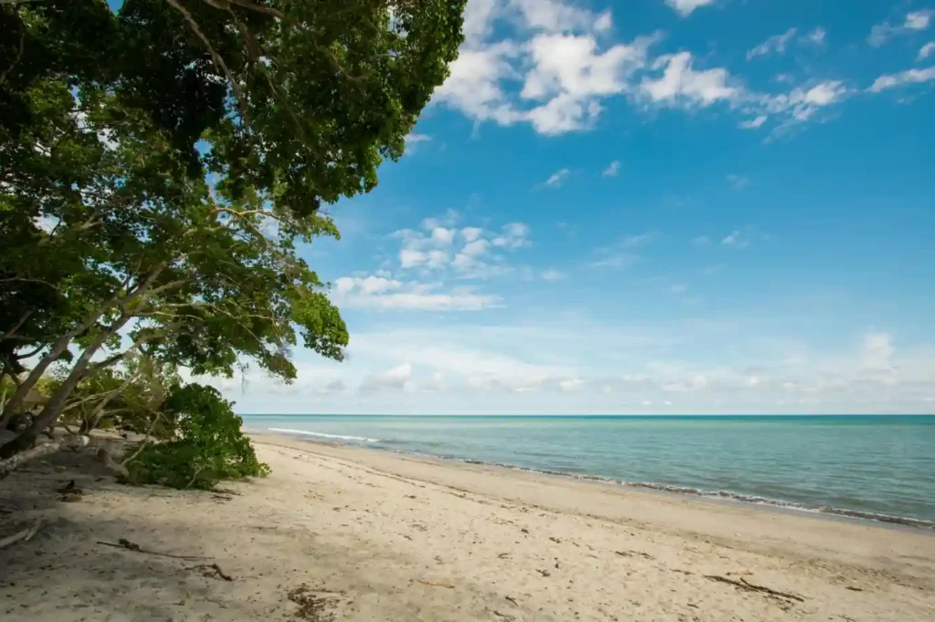 Quiet sandy beach near Port Barton in Palawan with calm turquoise water, overhanging tropical trees, and an empty tropical shoreline.