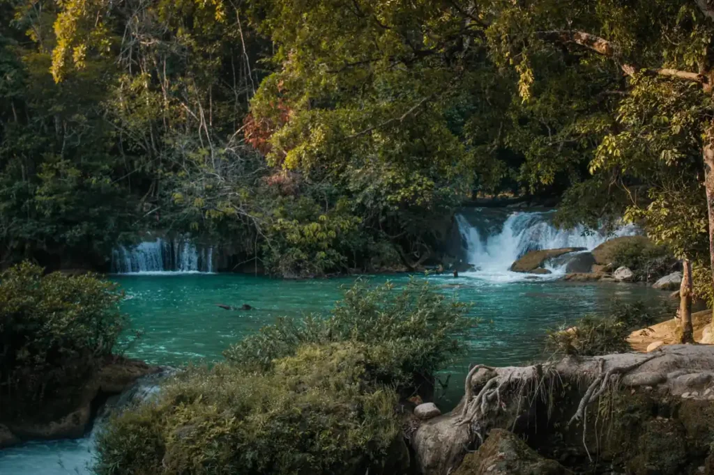 Tropical waterfall flowing into a turquoise natural pool surrounded by dense jungle and rocks near Port Barton, Palawan.