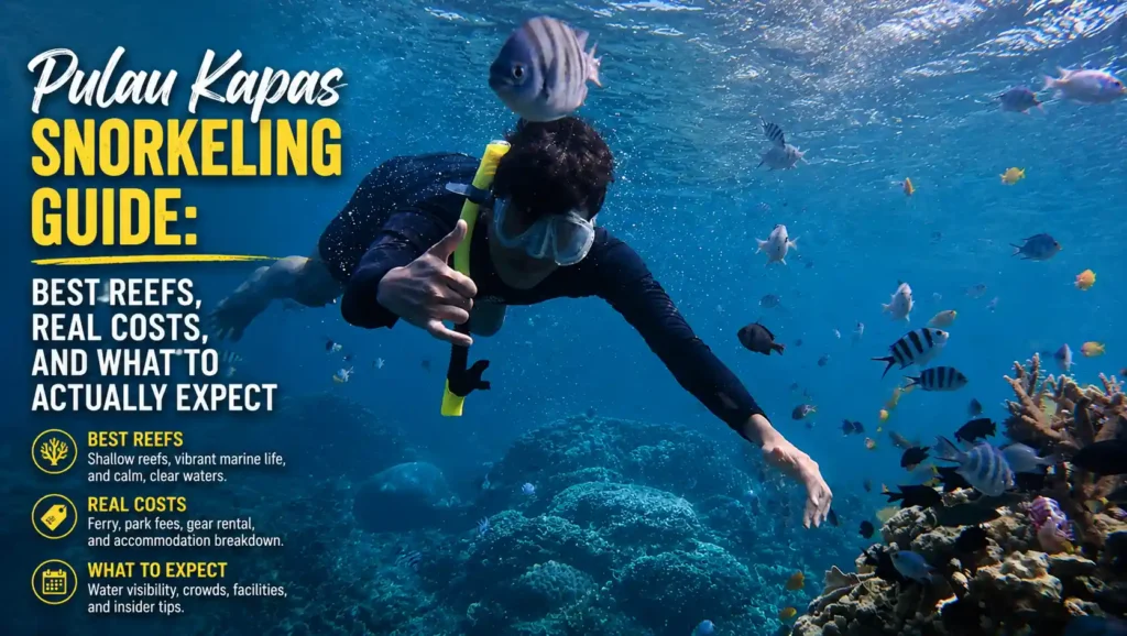 Pulau Kapas snorkeling guide showing a snorkeler above coral reefs surrounded by tropical fish in clear blue water.