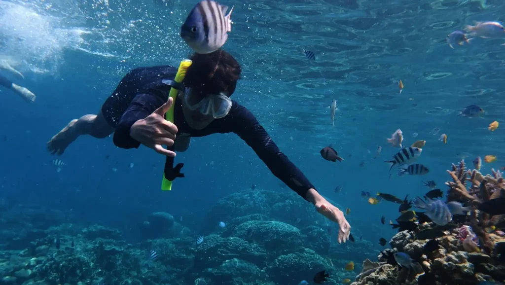 Traveler snorkeling above a colorful coral reef surrounded by tropical fish in clear blue ocean water during a Vietnam island beach adventure.