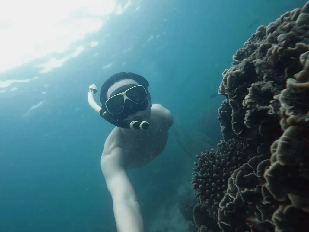 Snorkeler exploring a coral reef underwater. 