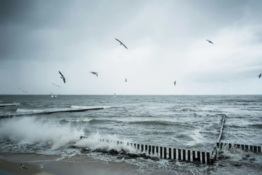 Stormy ocean waves crashing against wooden sea barriers under a cloudy gray sky with seabirds flying above the rough water.