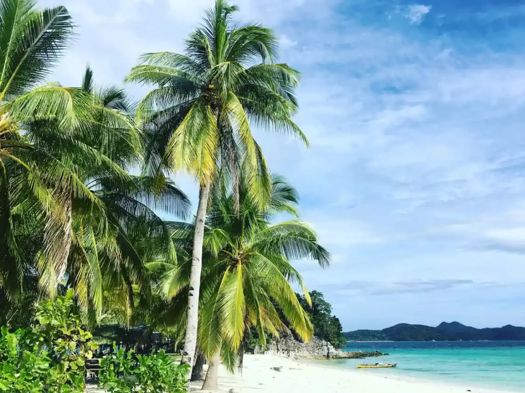 Palm-lined tropical beach with turquoise water and white sand.