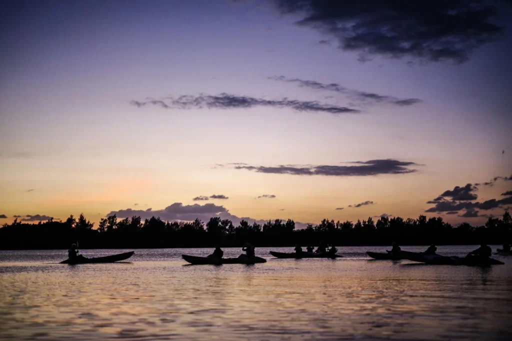 Kayakers paddling through calm mangrove waters at sunset during a peaceful UAE coastal adventure.