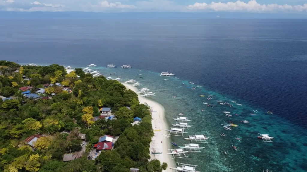 Aerial view of a tropical beach in Bohol with clear turquoise water, white sand, lush greenery, and traditional outrigger boats near the shoreline. 