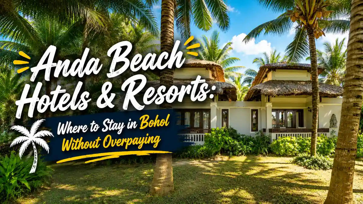 Tropical resort in Anda Beach, Bohol with palm trees and thatched-roof villas, featuring a title about where to stay without overpaying.