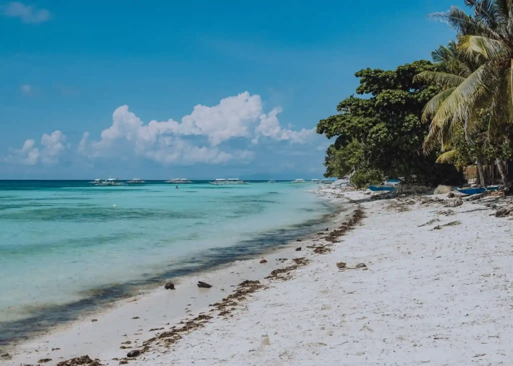 White sand shoreline at Anda Beach in Bohol, Philippines, with crystal-clear turquoise water, coconut palm trees, and traditional boats under a bright tropical sky.