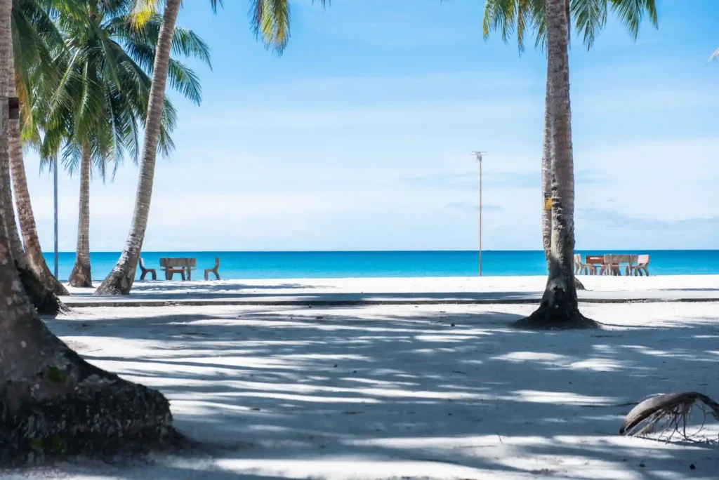 Palm trees casting shadows on a white sandy beach with turquoise ocean water and benches facing the beach.