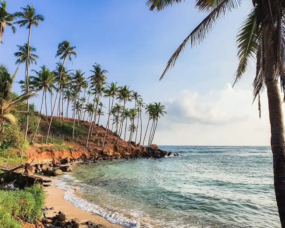 Palm-lined beach in Sri Lanka with clear blue water, rocky coastline, and a small sandy cove.