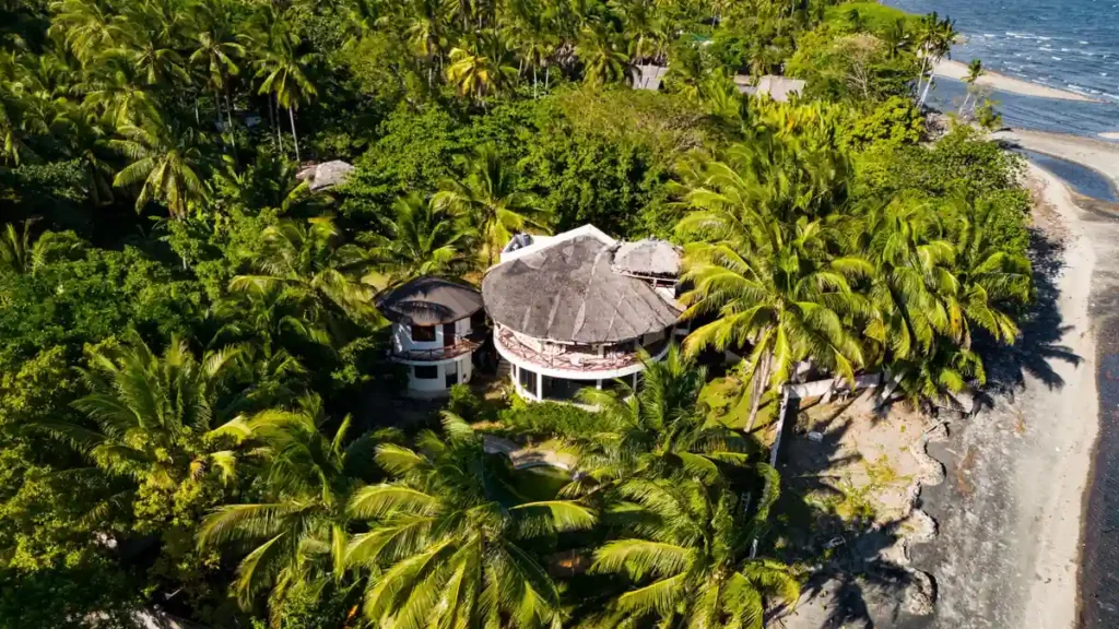 Aerial view of a tropical Bohol resort surrounded by dense coconut palm trees beside a quiet shoreline.