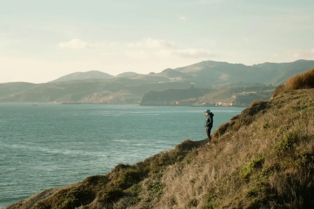 Person standing on a coastal cliff overlooking the ocean, distant hills, and calm blue water under a soft sky.
