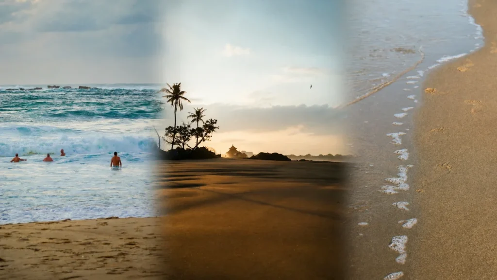 Landscape collage of three beach scenes showing ocean waves, palm trees at sunset, and footprints along a sandy shoreline.