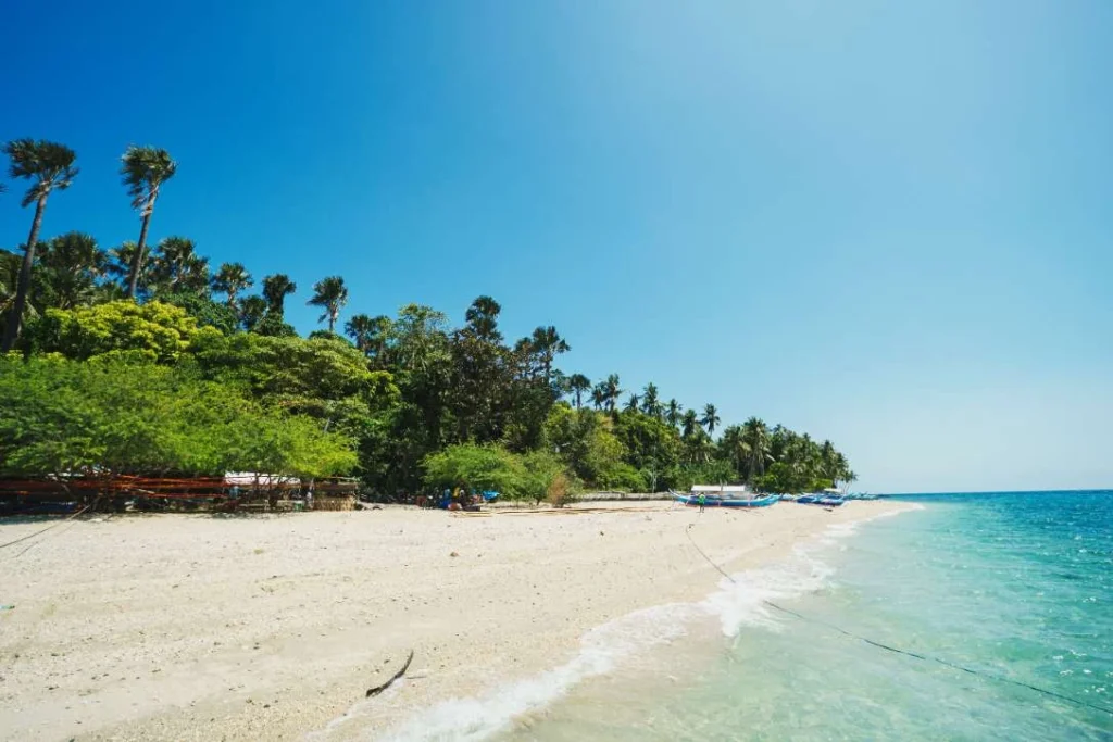 A tropical anda beach bordering clear turquoise water and a lush green forest under a bright blue sky.