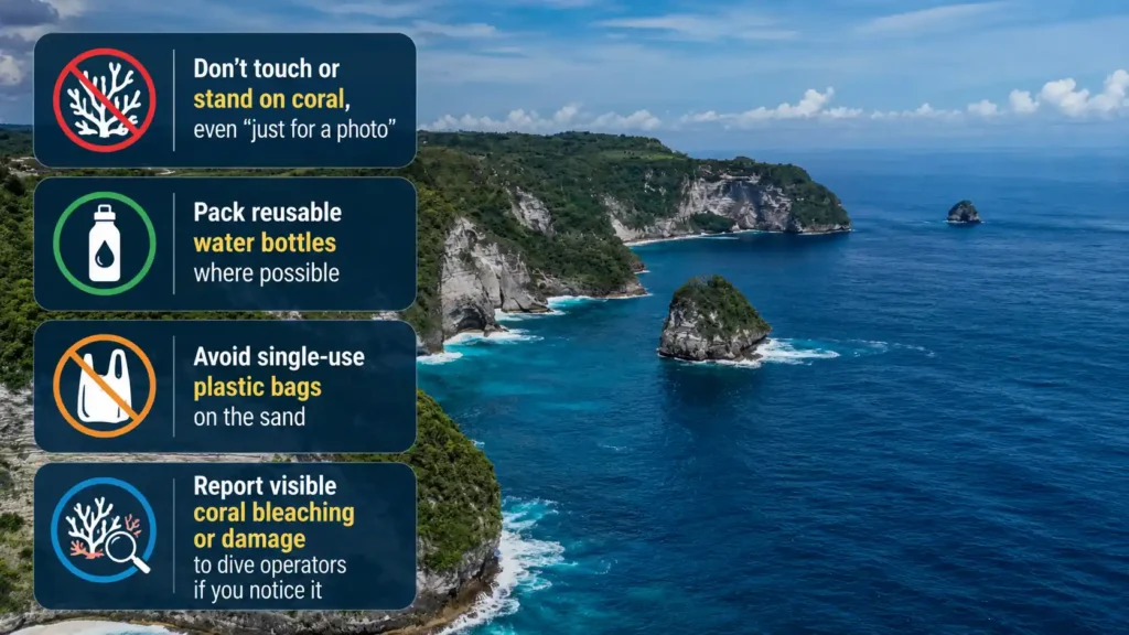 Crystal Bay coral protection tips infographic with eco-friendly beach guidelines. 