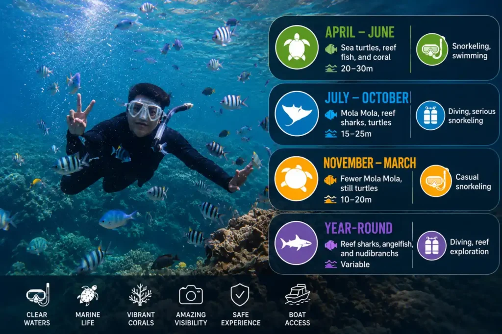 Underwater marine life guide infographic with a snorkeler surrounded by tropical fish at Crystal Bay.