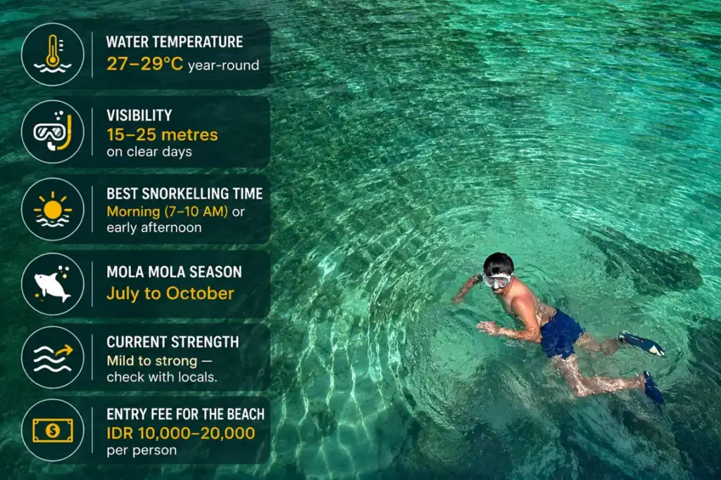 Snorkeling information infographic over clear turquoise water at Crystal Bay with a snorkeler swimming. 