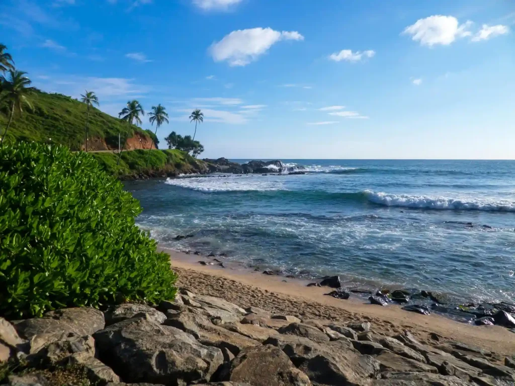 Rocky Goyambokka Beach shoreline with blue ocean waves, palm trees, green hillside, and a bright tropical sky.