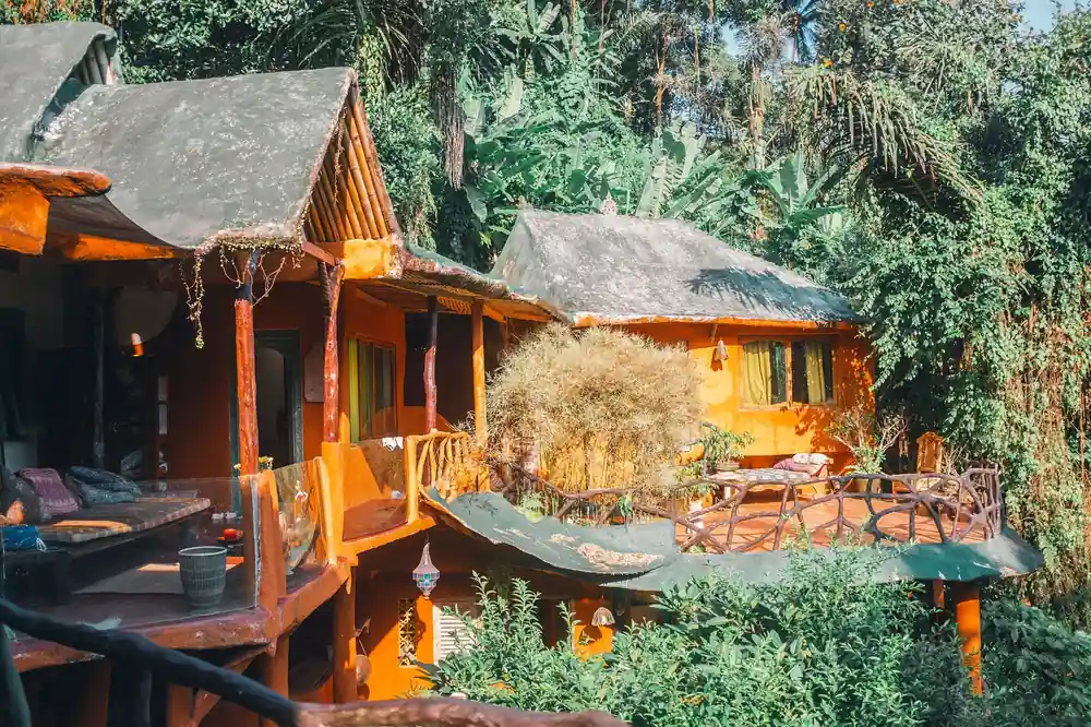 Jungle eco lodge with rustic orange cottages, wooden balconies, and dense tropical greenery around the resort.