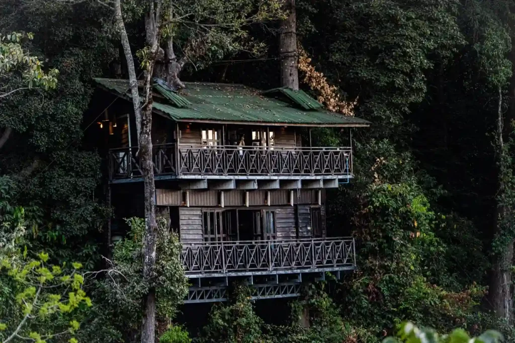 Wooden treehouse hidden in a lush jungle forest.