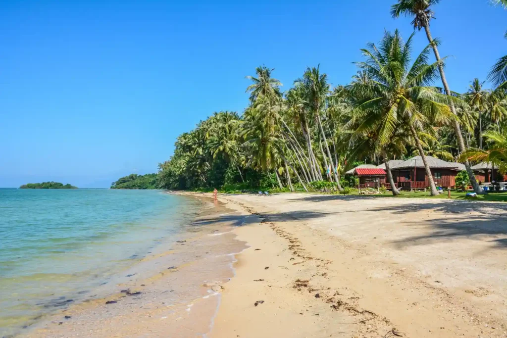 Palm-lined beach on Koh Chang
