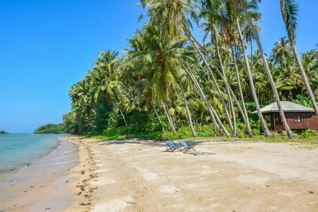 Quiet tropical beach in Koh Lipe with leaning palm trees, two deck chairs, calm water, and a wooden bungalow. 