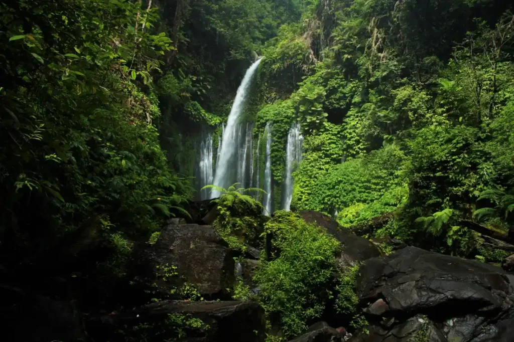 A tall waterfall flowing through dense green jungle in Lombok, surrounded by tropical plants, ferns, and dark rocks