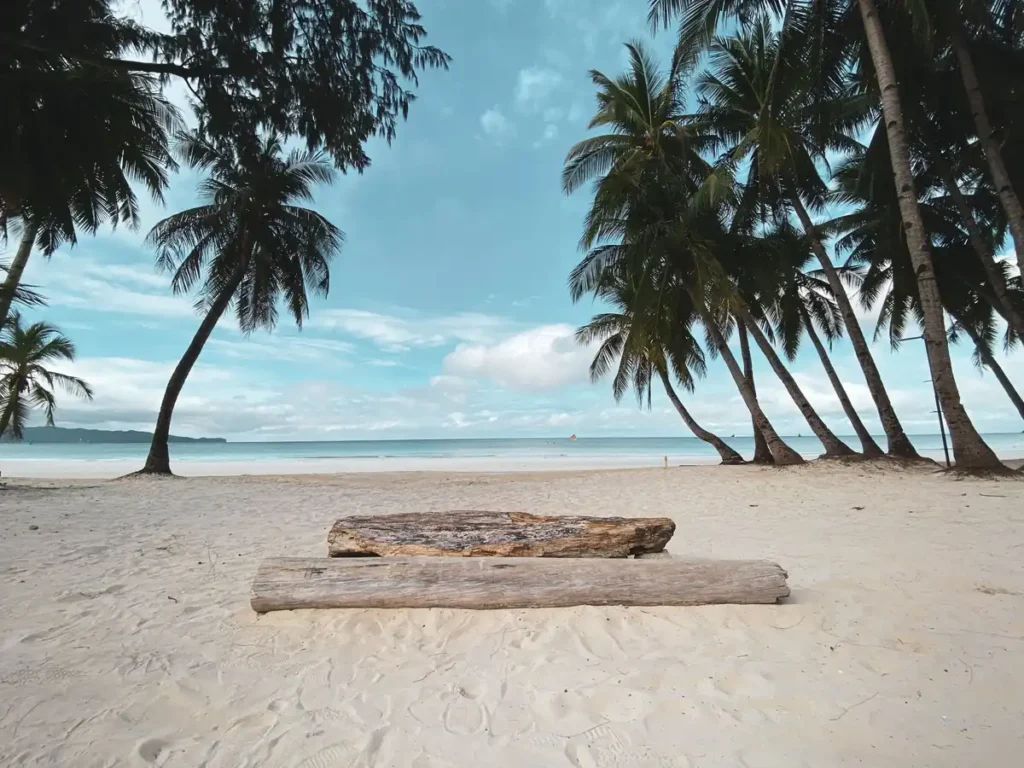 Quiet tropical beach with soft white sand, leaning coconut palm trees, calm blue water, and a wooden bench facing the sea.