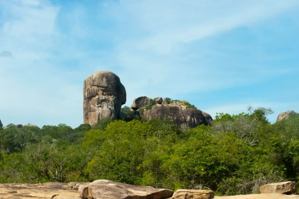 Large natural rock formation rising above dense green trees under a bright blue sky with soft clouds.